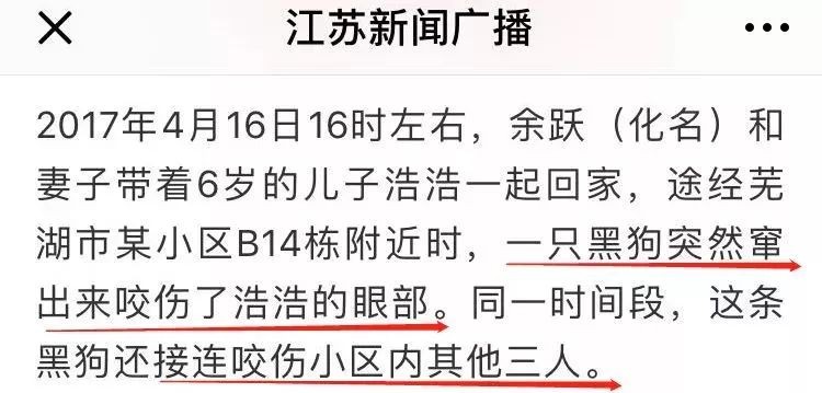 常州开出首张遛狗不牵狗绳罚单！